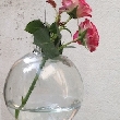 BAYDA AVEC ROSE