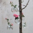 BAYDA SUR ARBRE
